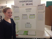 Science Fair Project