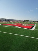 New Turf