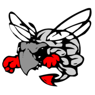 Hilldale Hornet Mascot