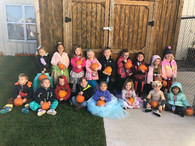 pumpkin patch